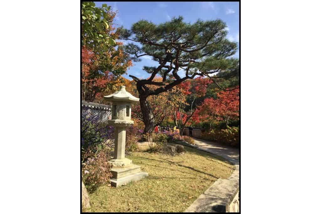 Pagoda in the foreground of various trees showing autumn foliage colors of amber and gold at Hwadam Botanic Gardens in S Korea