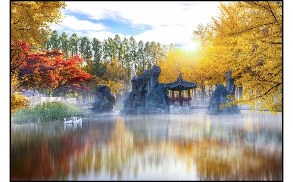 Pavillion amidst pond and autumn foliage in Nami Island