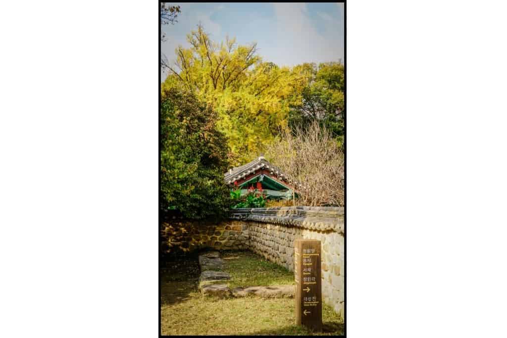Traditional Korean pavilion and stone wall surrounded by golden autumn trees, representing Sungkyunkwan University’s historic campus