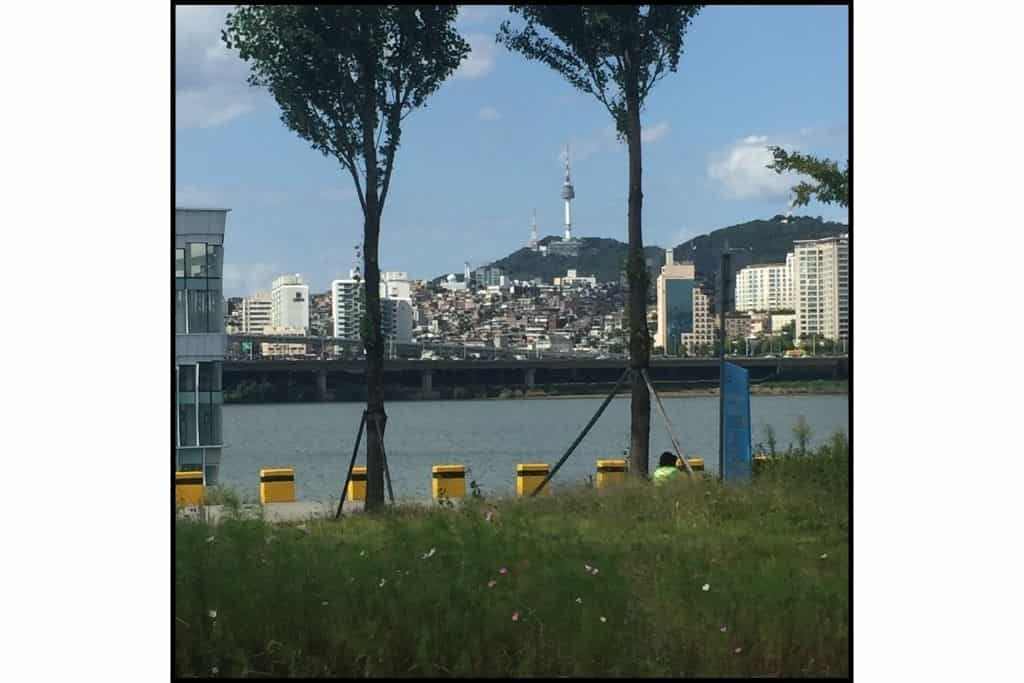 The iconic N Seoul Tower in the distance from the Han River 