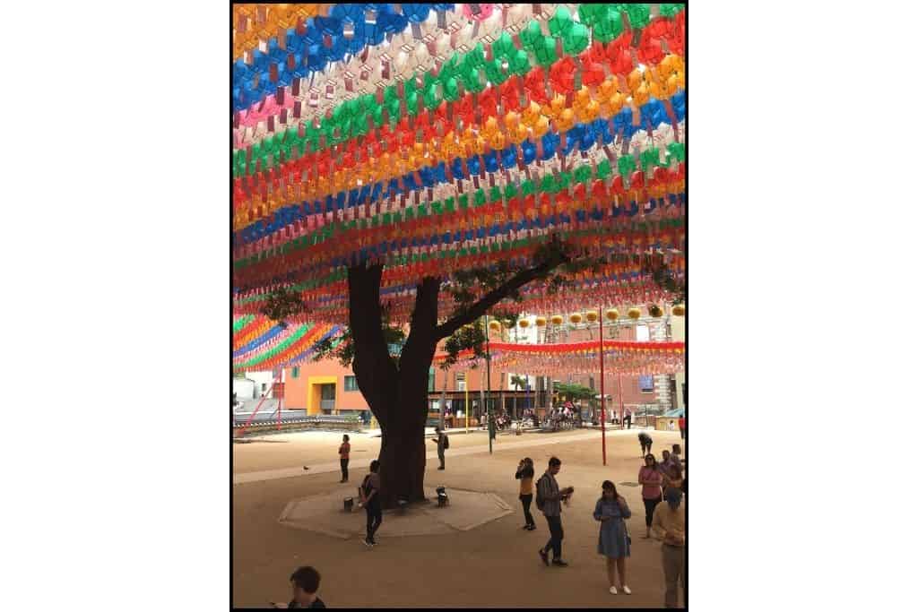 A view of the ancient tree decorated with lanterns at Jogyesa temple , a free thing to do in Seoul 