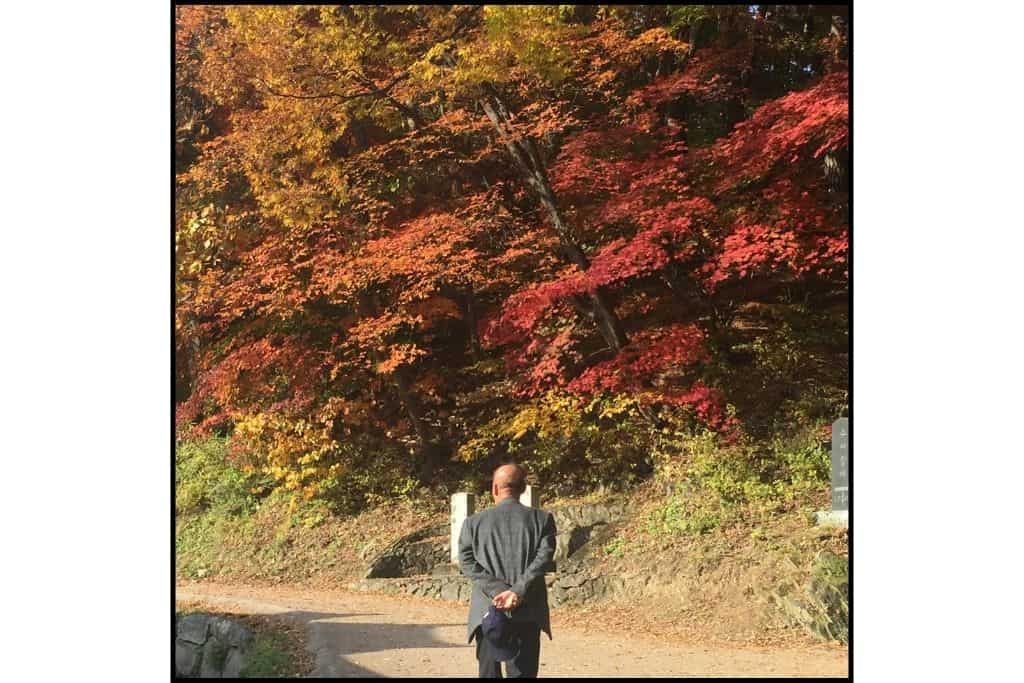 Ajussi walking under autumn foliage Namhansanseong