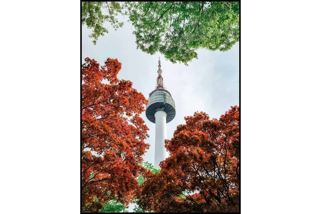 Namsan Tower, aka Seoul Tower, framed by bronze autumn foliage