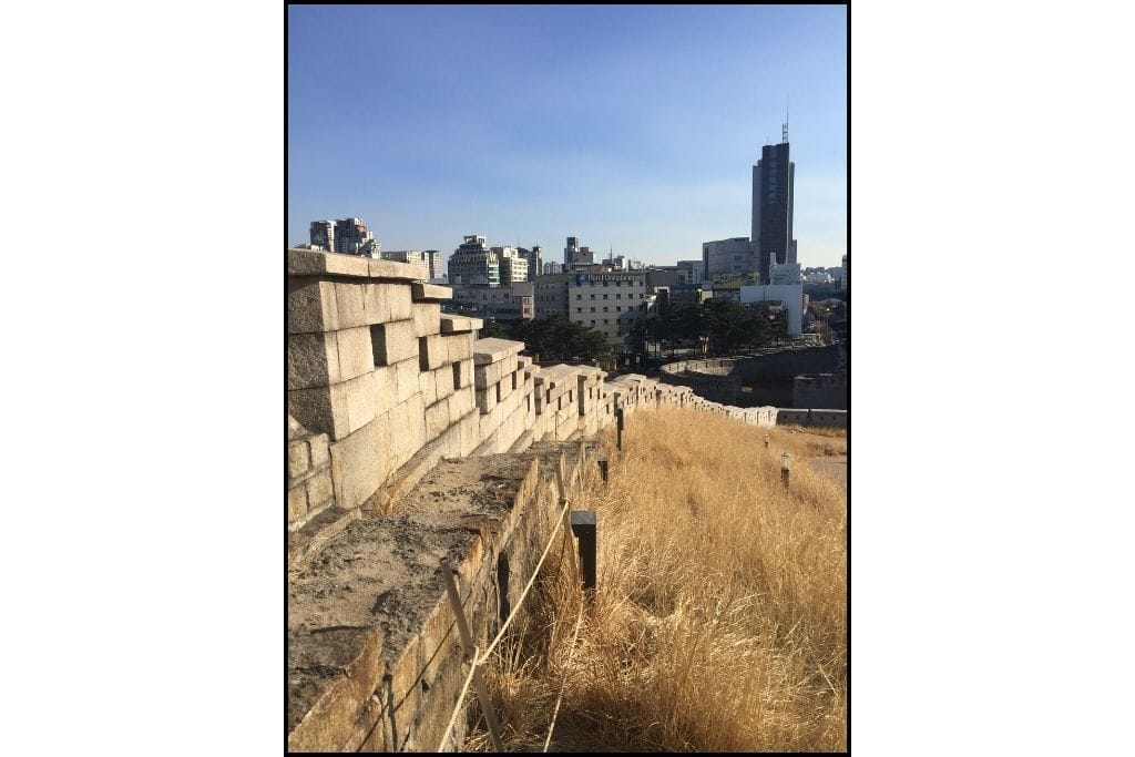 The view of Seoul city wall, the city and some ornamental grasses. 