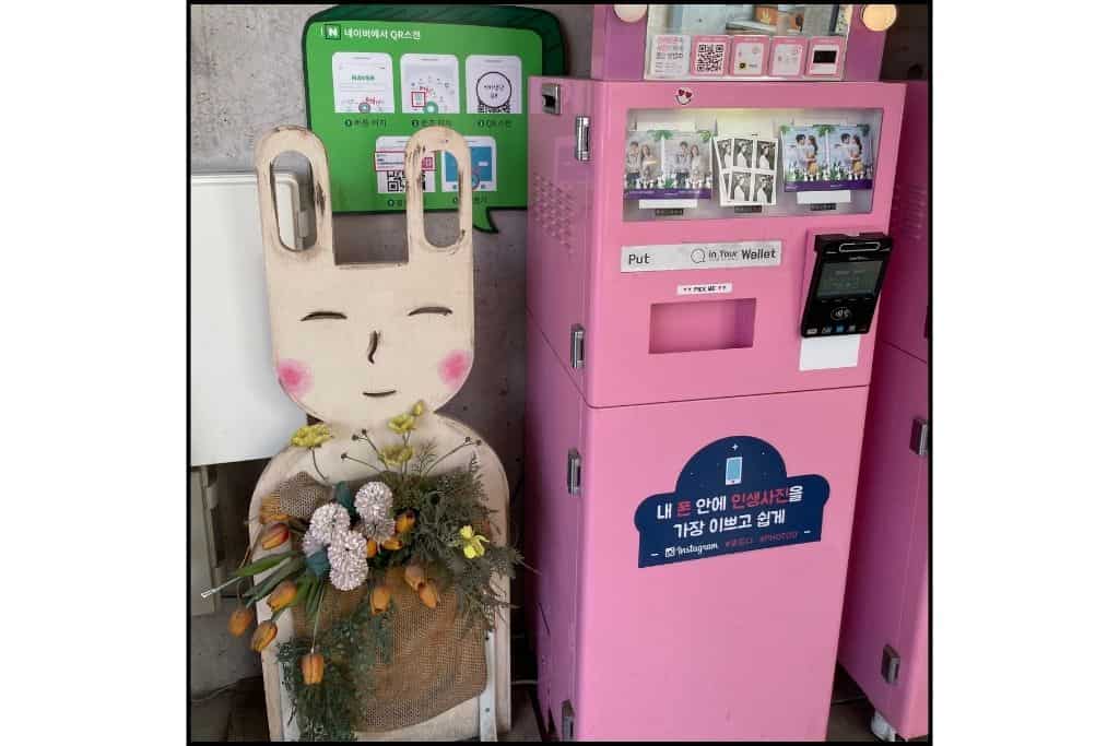 a cute bunny display with flowers next to a vending machine for pictures in Insadong Seoul