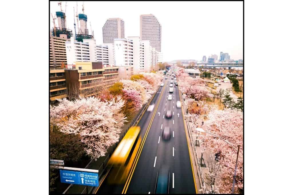 Ariel view of Seoul and traffic with cherry blossom lined street