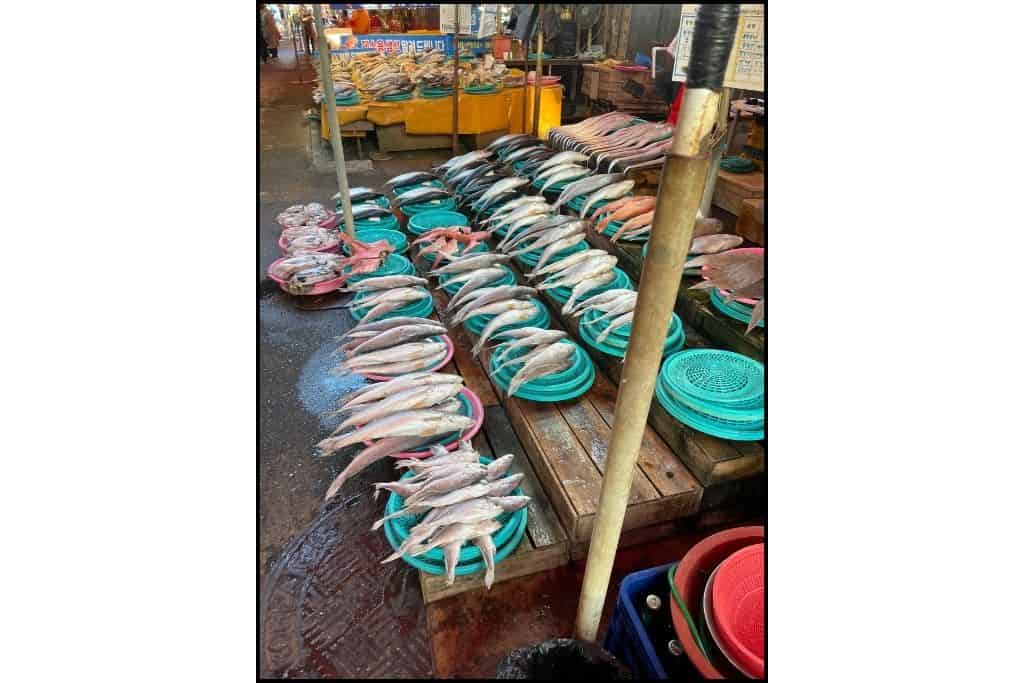 Fresh fish for sale at Jagalchi Market in Busan