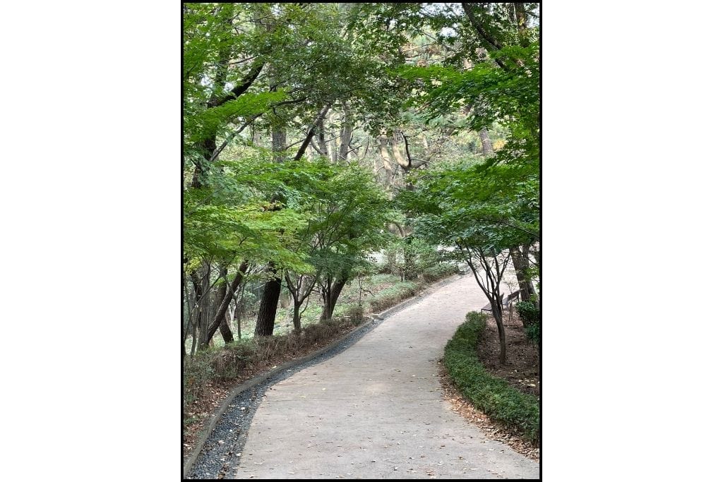 A peaceful trail to walk at Songdo Sky Pakr at Amnan Park 