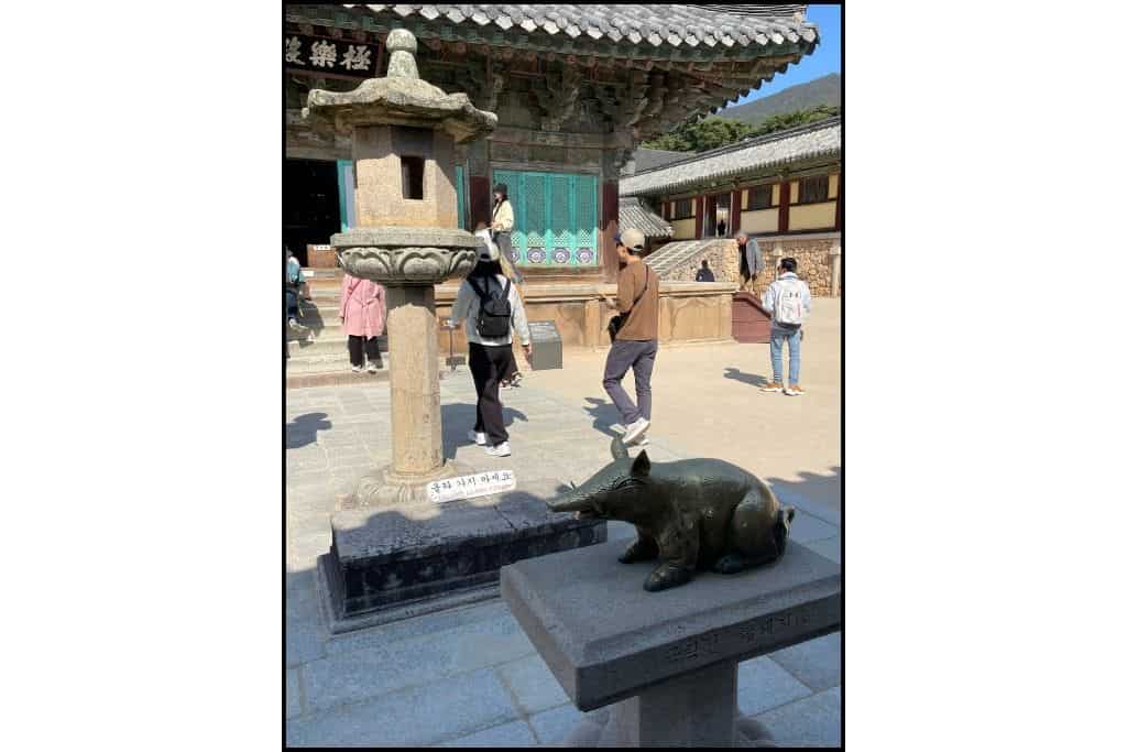 The golden pig statue at Bulguksa Temple in Gyeongju, symbolizing good fortune and prosperity, with the temple’s iconic architecture in the background, making it a must-see on a day trip.