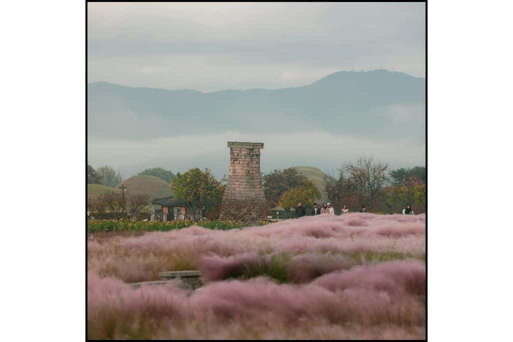 Cheomseongdae Observatory in Gyeongju, a historic site perfect for a day trip, showcasing ancient Korean astronomical heritage with its unique stone structure and scenic surroundings