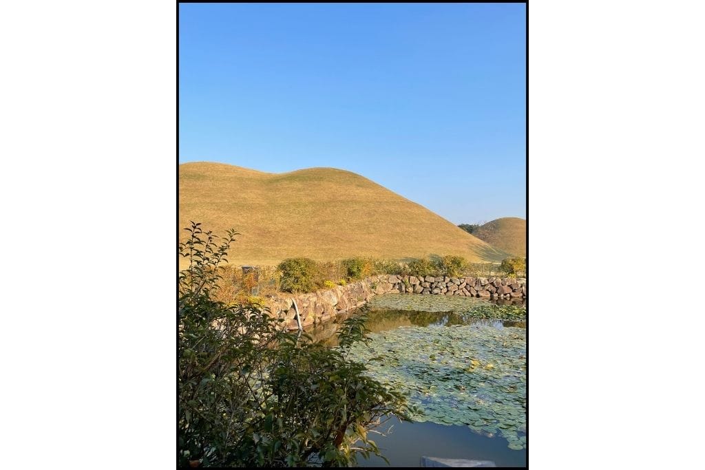 "A royal tomb near a tranquil pond at Daereungwon Tomb Complex in Gyeongju