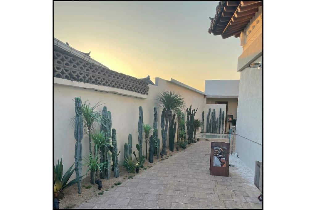 El Rato, a contemporary Mexican restaurant in Gyeongju South Korea onHwanglidangil street during a day trip. 