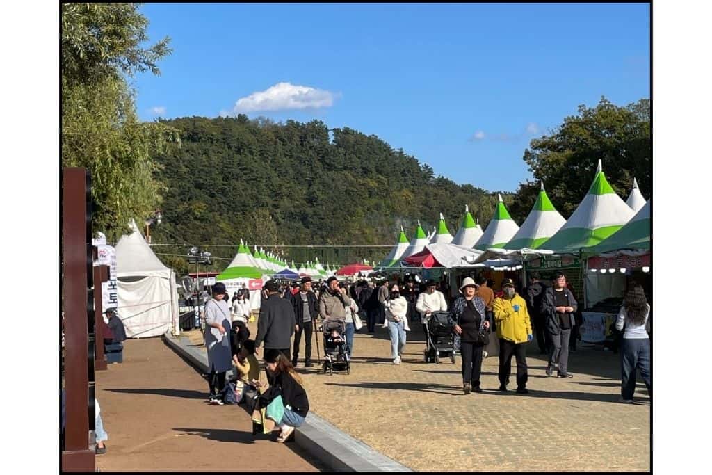 People wandering around the food stalls at the Lantern festival held during October in JInju, a must see thing to do