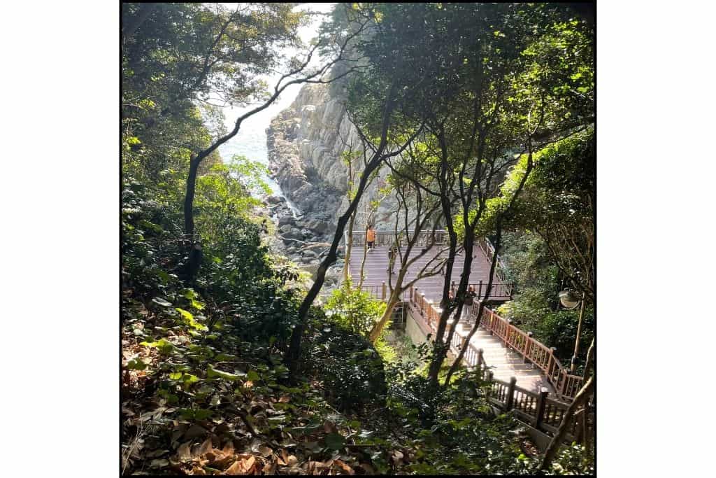 Stairs leading down to an overlook on Odongdo Island, offering scenic views of the coastline and surrounding landscape.