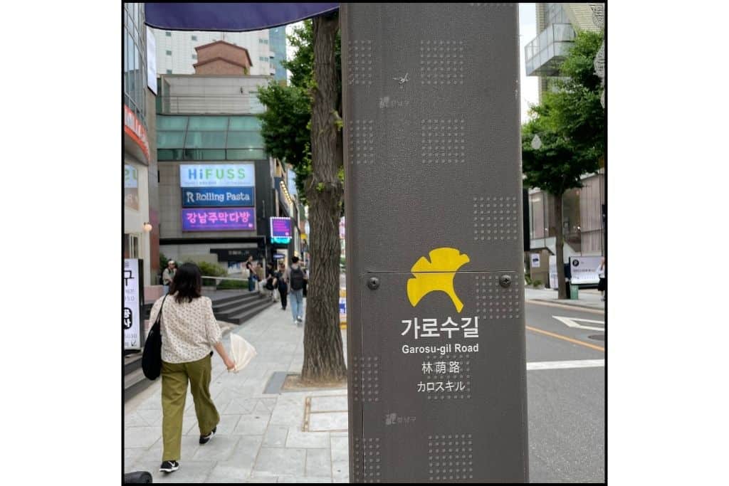 The street sign for Garosu-gil in Sinsa, with a yellow Ginko tree leave
