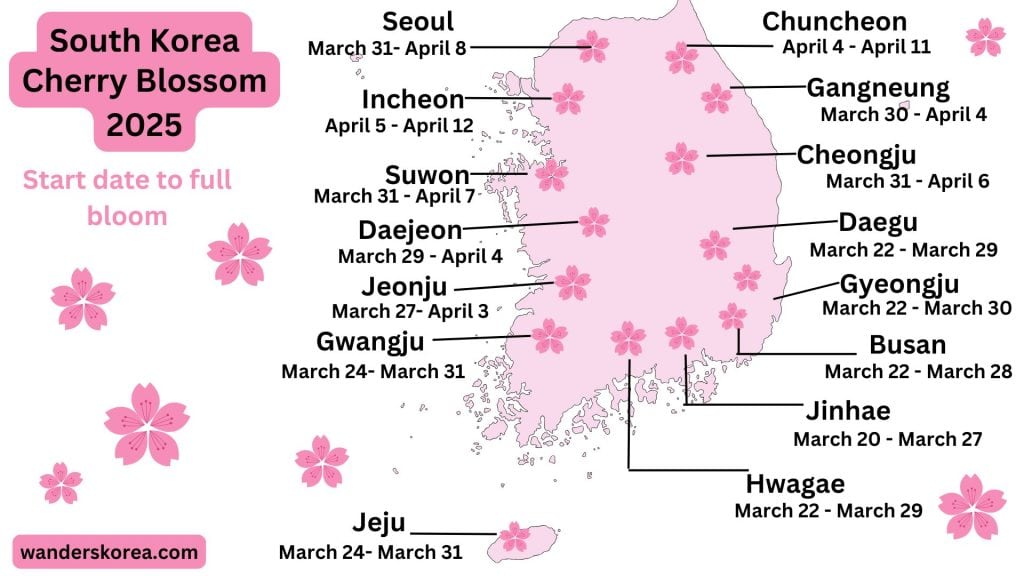 A map of the approximate dates of the beginning of cherry blossom season in a few cities across South Korea