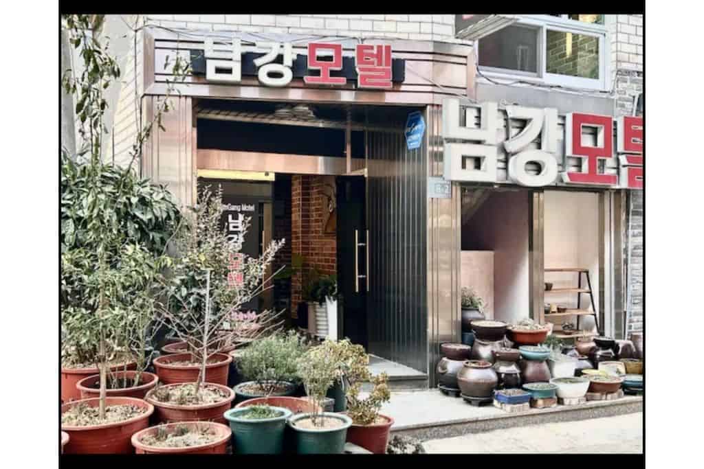 The front door of an Airbnb, with many pots for plants, in South Korea