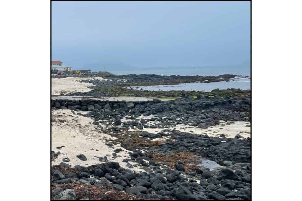 Rocky volcanic beach on Udo Island, South Korea, with black lava stones, white sand, and misty ocean views — a unique coastal landscape near Jeju.