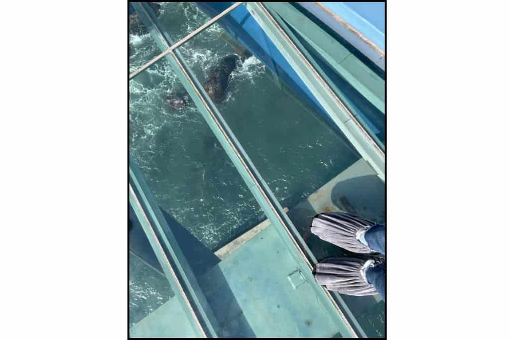 Glass floor view of ocean at Cheongsapo Daritdol Skywalk near Haeundae Beach.