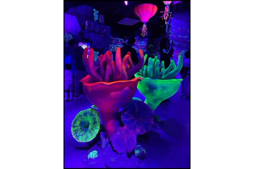 Glowing neon coral display at SEA LIFE Busan Aquarium near Haeundae Beach.