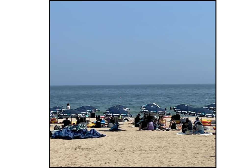 Crowds relaxing under beach umbrellas at Haeundae Beach in Busan on a sunny day.