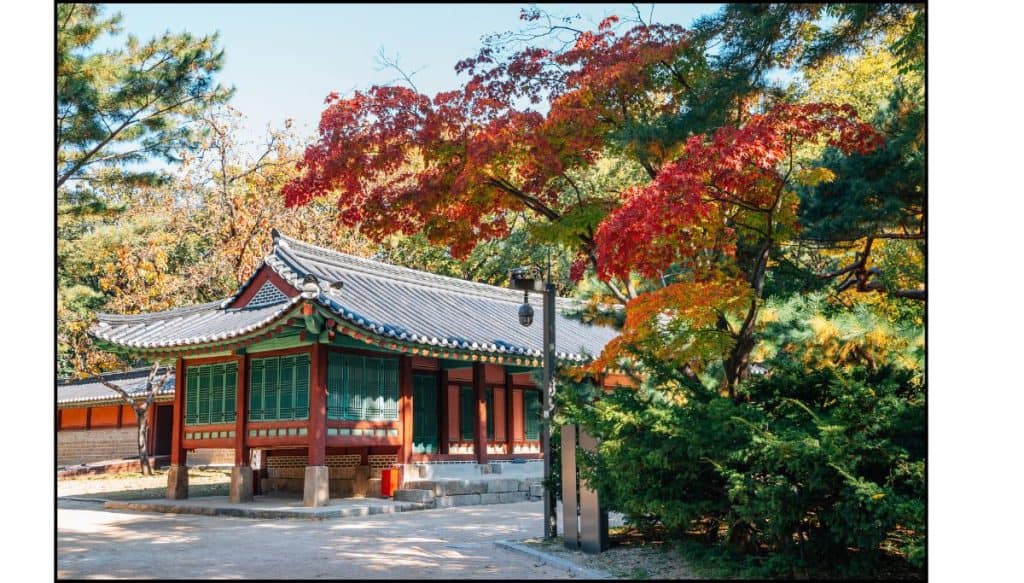 Traditional Korean building surrounded by vibrant red and orange autumn trees at Jongmyo Shrine in Seoul.
