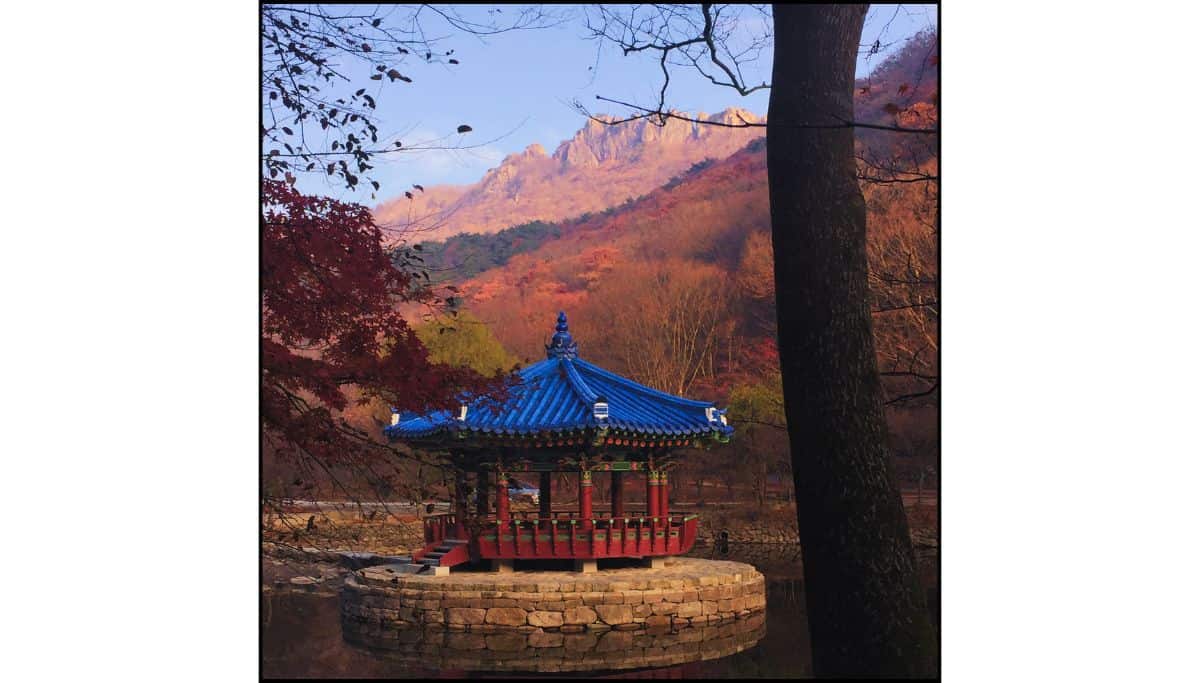 Traditional Korean pavilion with a blue tiled roof surrounded by autumn trees and colorful mountain slopes at Naejangsan National Park.