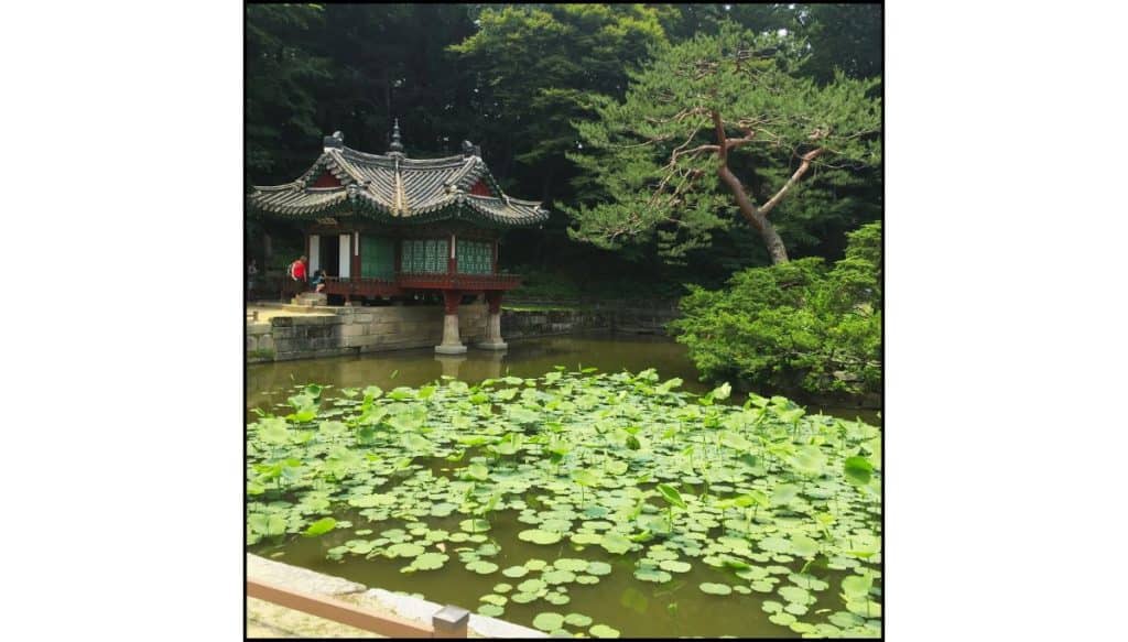 Traditional Korean pavilion overlooking a serene lotus pond surrounded by lush green trees in the Secret Garden at Changdeokgung Palace, Seoul.