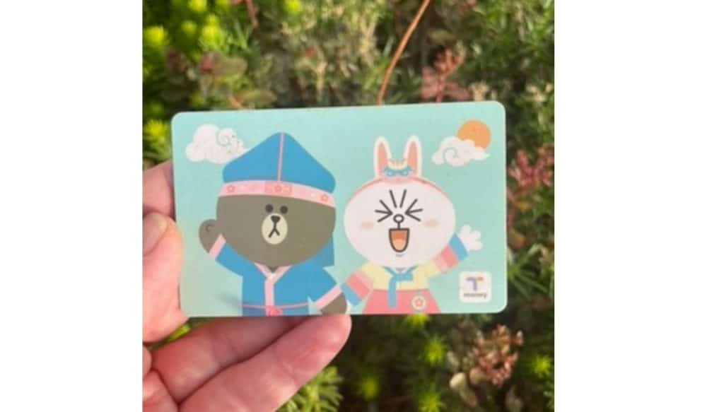 A T-Monye transportation card with a