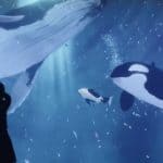 Visitor silhouette against Blue Walk’s immersive ocean projection at The CAVE VR Gallery in Seoul, featuring whales, orcas, and schools of fish