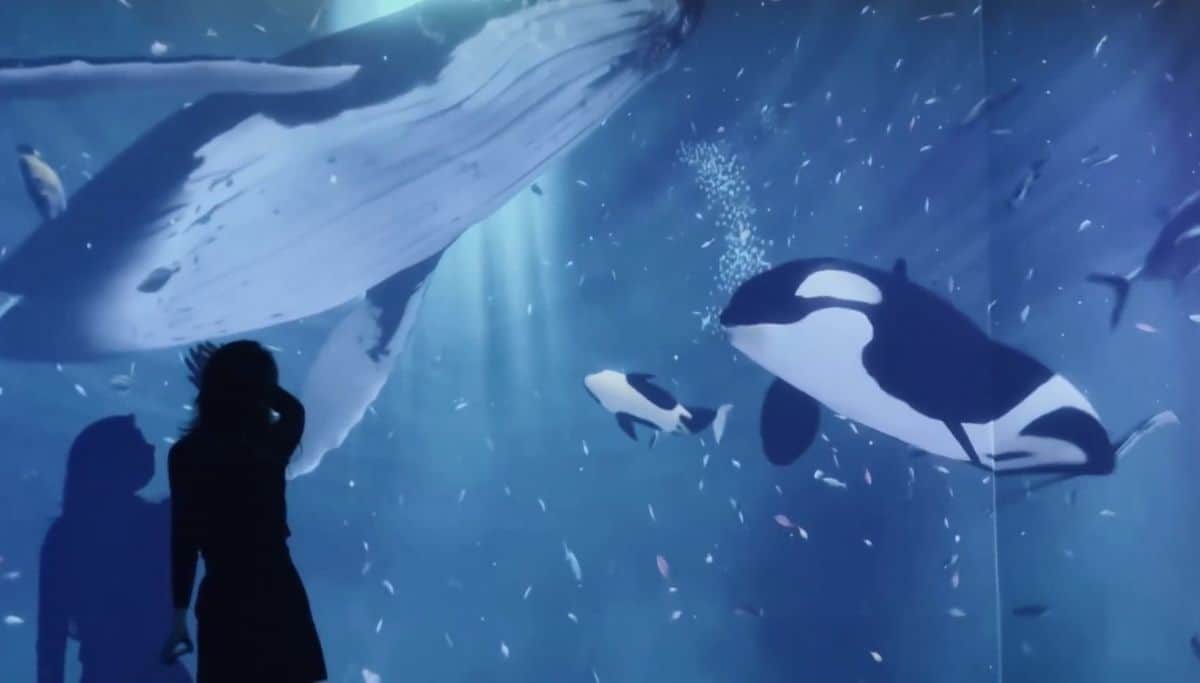 Visitor silhouette against Blue Walk’s immersive ocean projection at The CAVE VR Gallery in Seoul, featuring whales, orcas, and schools of fish