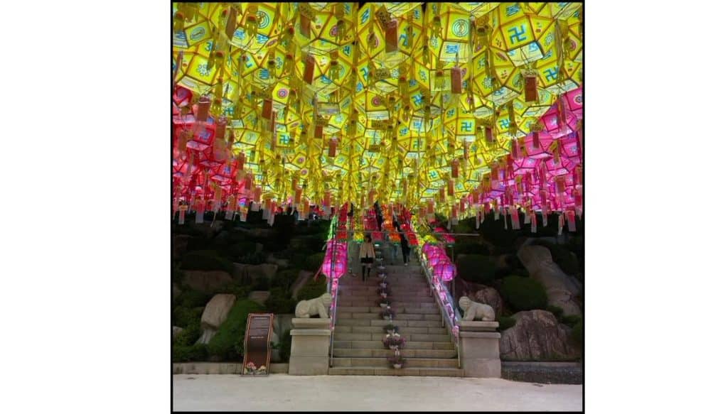 Stone staircase lined with pink lanterns and covered by a canopy of yellow and pink lotus lanterns at Samgwangsa Temple during the Buddha’s Birthday festival.