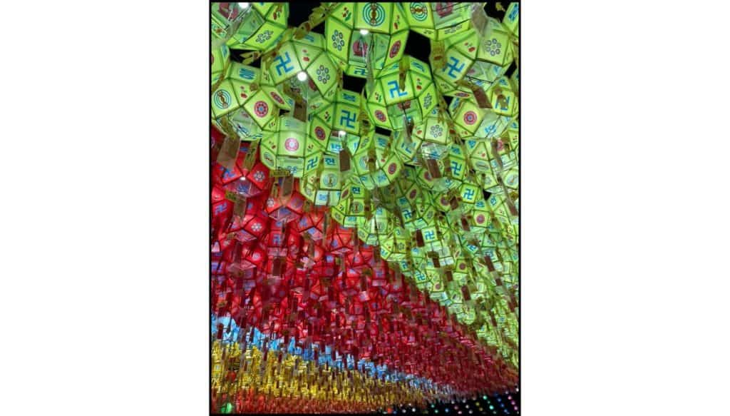 Ceiling of colorful lotus lanterns hanging in rows at Samgwangsa Temple during the Buddha’s Birthday lantern festival.