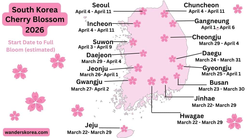 A pink map. with cherry blossoms marking cities and the dates of estimated cherry blossom dates for blooms.