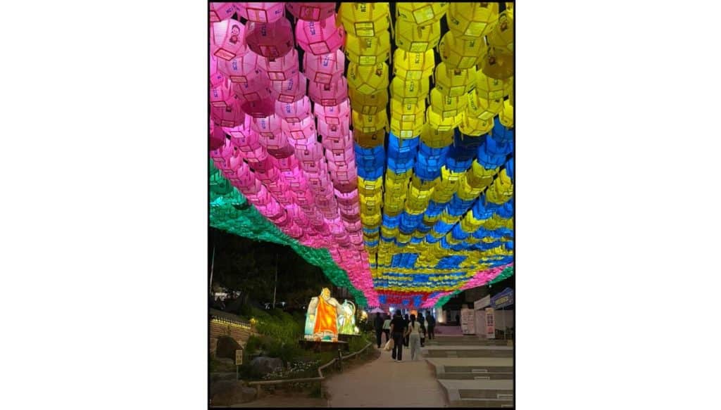 Nighttime view of a walkway covered by rows of glowing pink, yellow, blue, and green lotus lanterns, with visitors walking beneath the colorful canopy and illuminated lantern sculptures visible along the path.